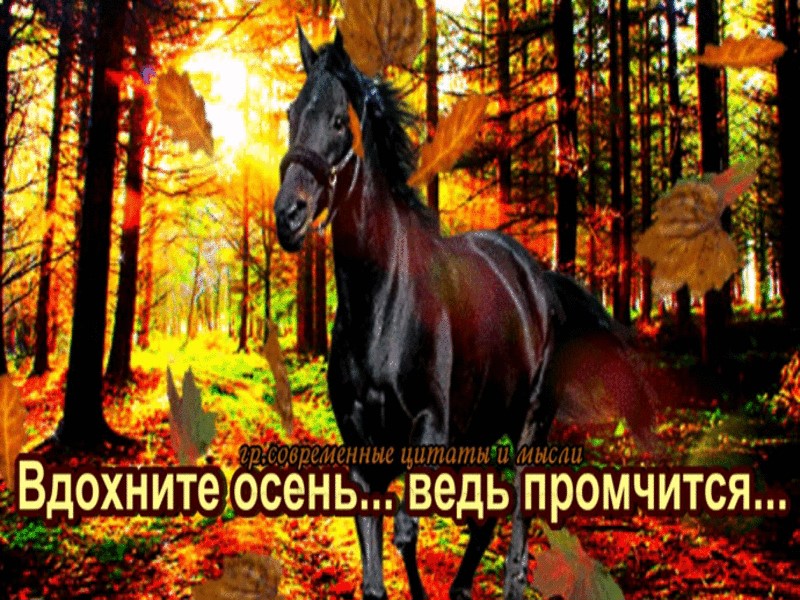 https://upforme.ru/uploads/0019/3c/8c/78/314506.jpg