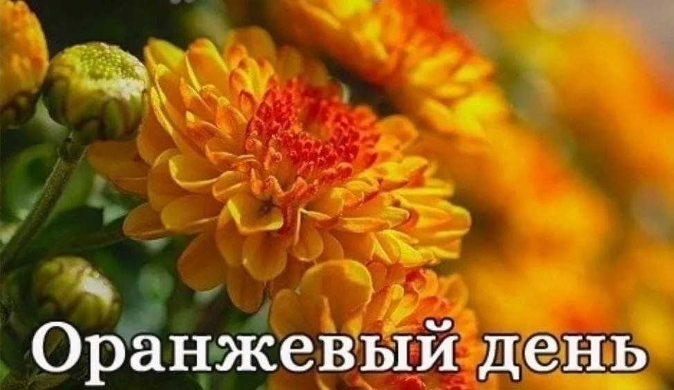 https://upforme.ru/uploads/0019/3c/8c/78/535351.webp