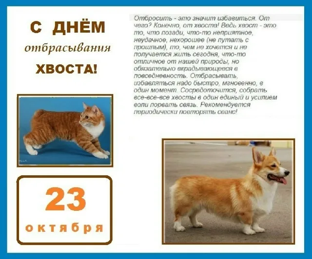 https://upforme.ru/uploads/0019/3c/8c/78/631651.webp