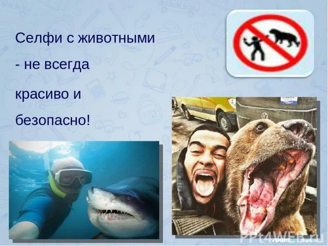 https://upforme.ru/uploads/0019/3c/8c/78/64229.webp