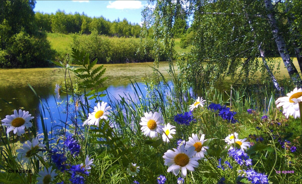 https://upforme.ru/uploads/0019/3c/8c/78/684649.jpg