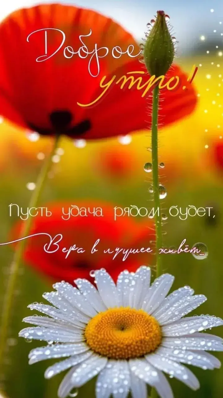 https://upforme.ru/uploads/0019/3c/8c/78/794691.webp