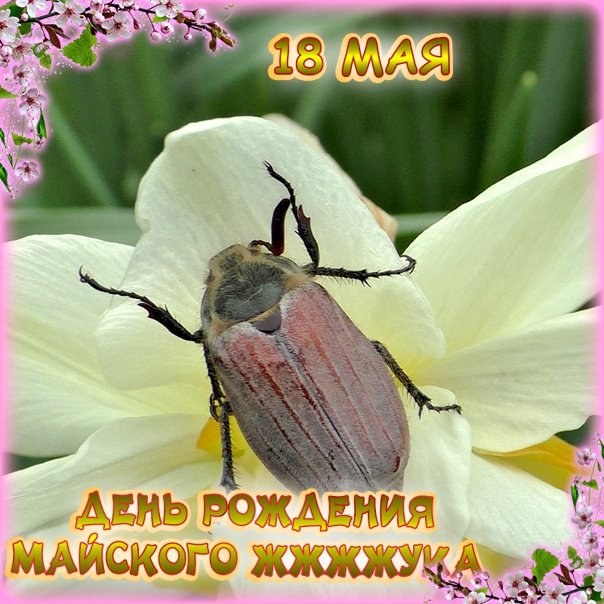 https://upforme.ru/uploads/0019/3c/8c/781/128010.jpg