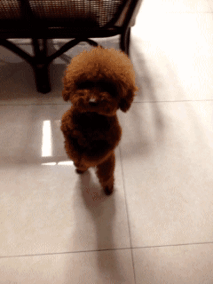 https://upforme.ru/uploads/0019/3c/8c/781/213398.gif