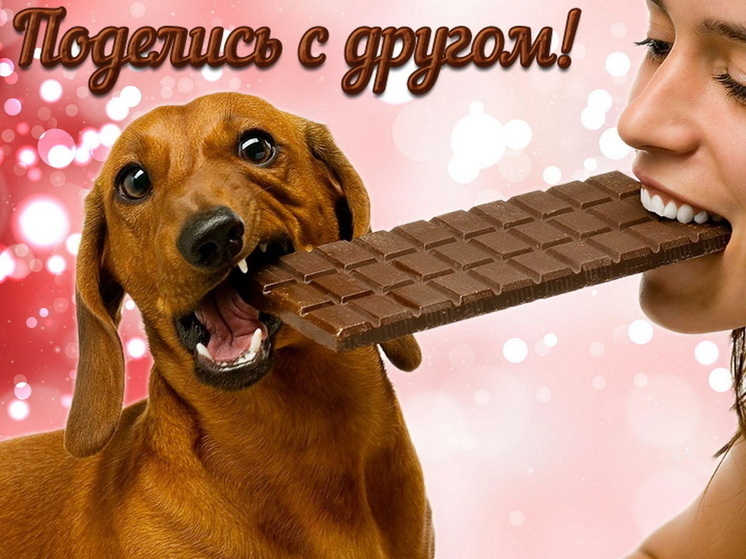 https://upforme.ru/uploads/0019/3c/8c/781/530410.jpg