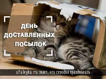 https://upforme.ru/uploads/0019/3c/8c/781/t281828.webp