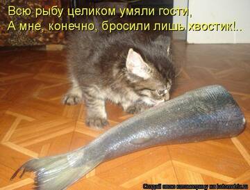 https://upforme.ru/uploads/0019/3c/8c/781/t606443.jpg