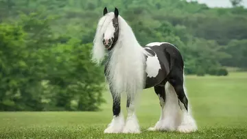 https://upforme.ru/uploads/0019/3c/8c/781/t991660.webp