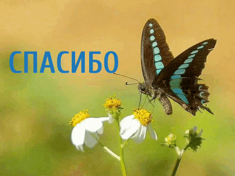 https://upforme.ru/uploads/0019/3c/8c/88/109182.gif