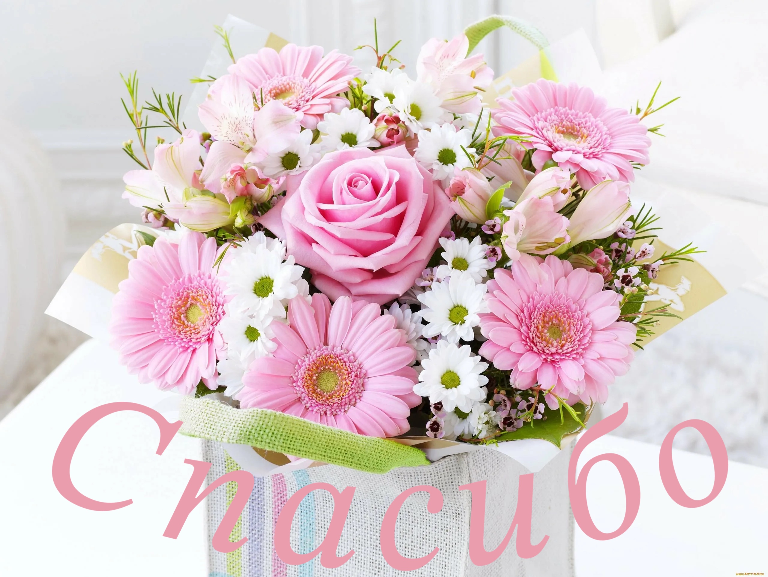 https://upforme.ru/uploads/0019/3c/8c/88/169299.jpg