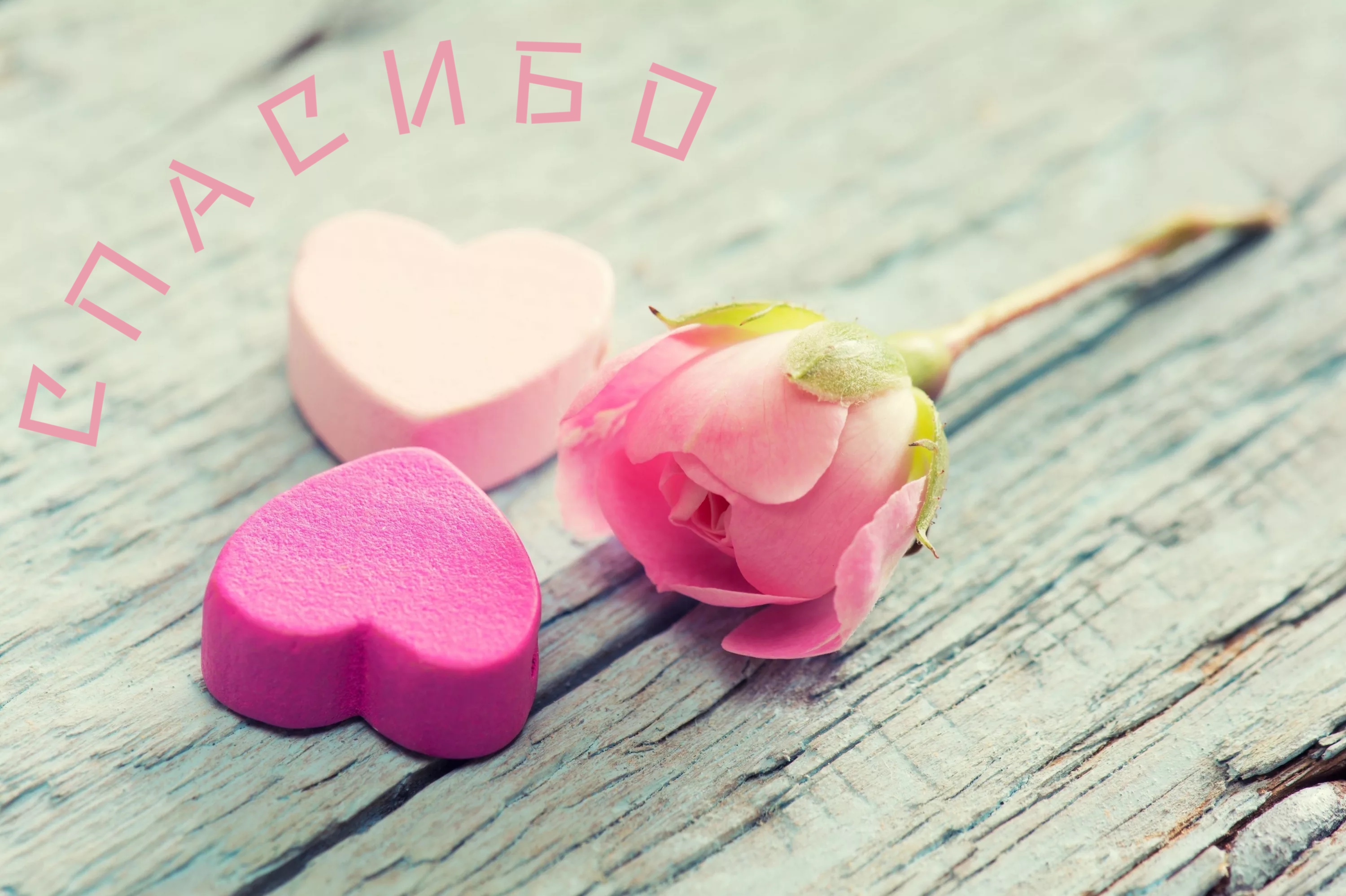 https://upforme.ru/uploads/0019/3c/8c/88/314965.jpg