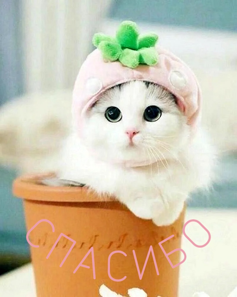 https://upforme.ru/uploads/0019/3c/8c/88/325314.jpg