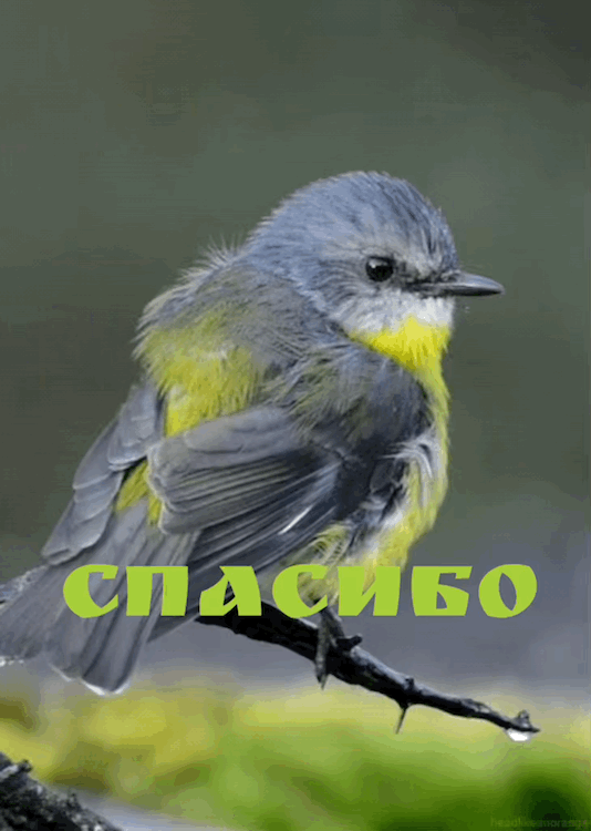 https://upforme.ru/uploads/0019/3c/8c/88/379009.gif