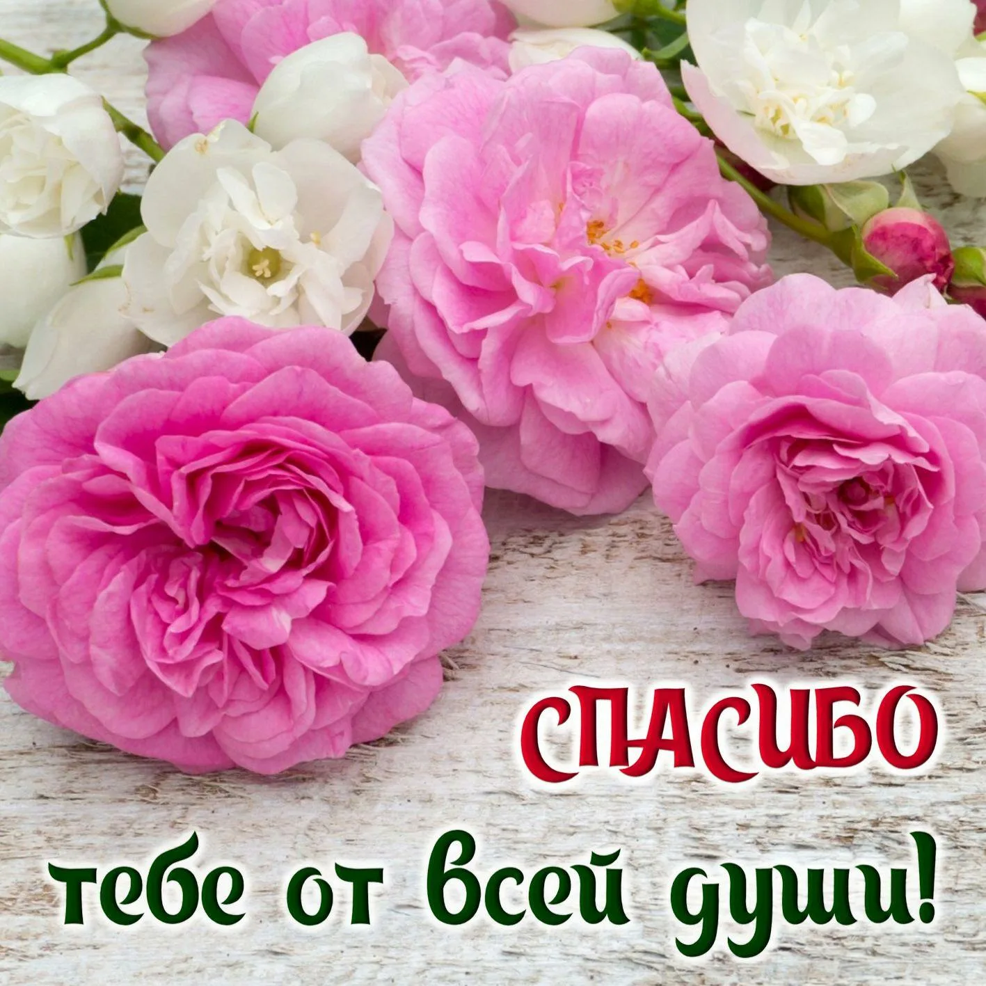 https://upforme.ru/uploads/0019/3c/8c/88/502486.webp