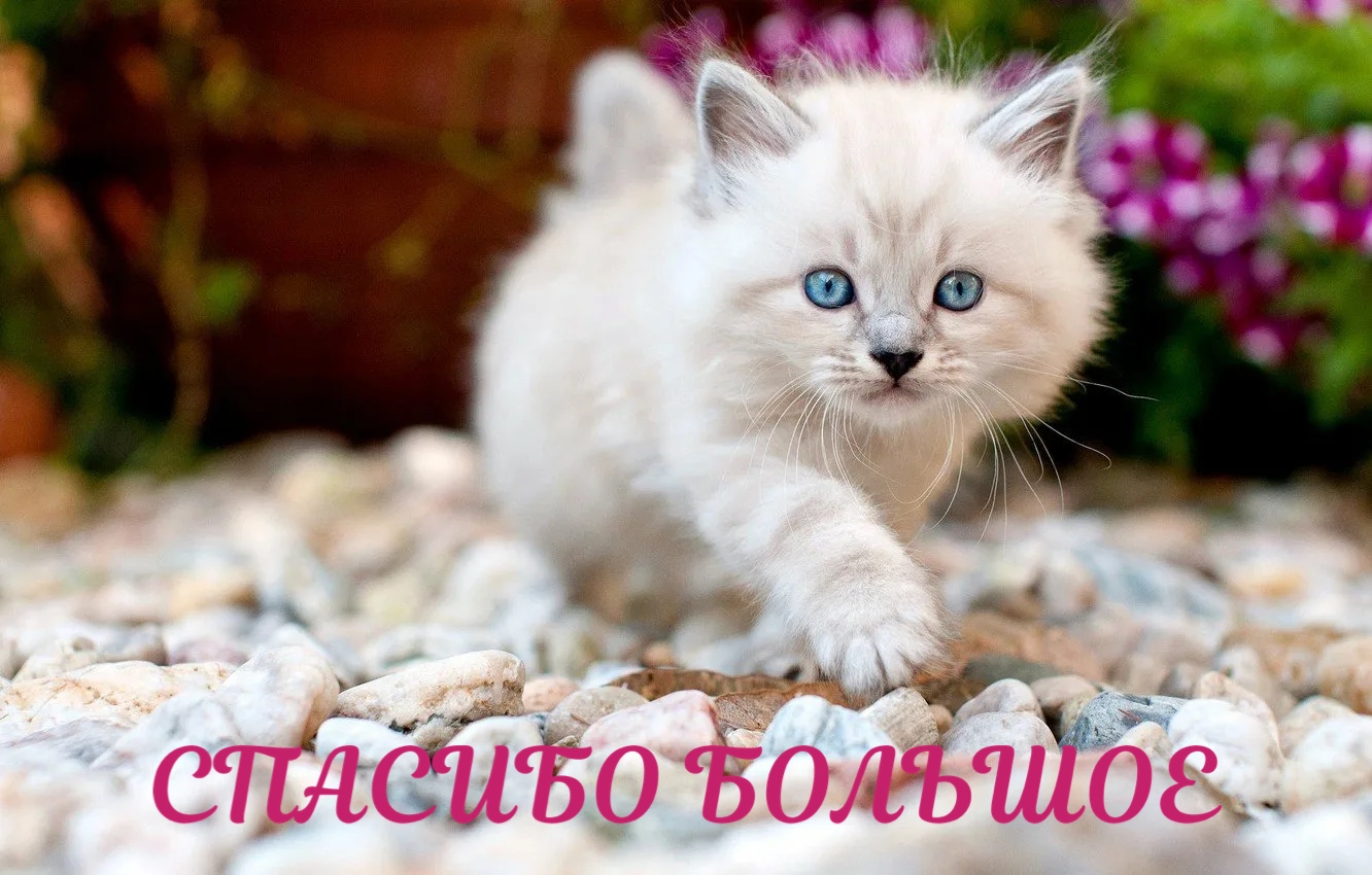 https://upforme.ru/uploads/0019/3c/8c/88/539679.jpg