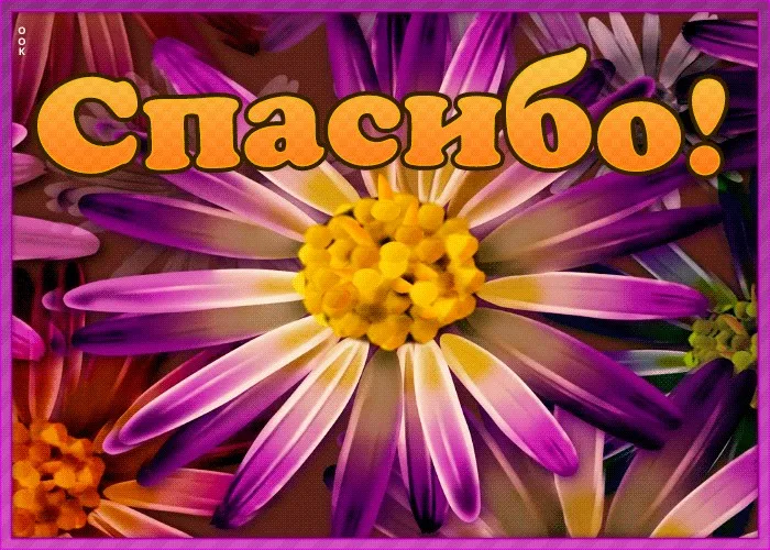 https://upforme.ru/uploads/0019/3c/8c/88/653742.webp