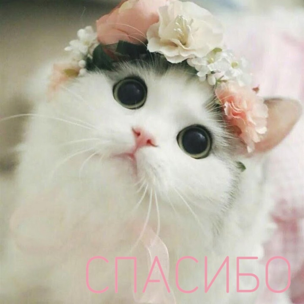 https://upforme.ru/uploads/0019/3c/8c/88/701438.jpg