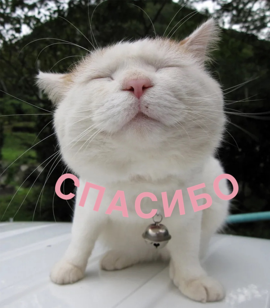 https://upforme.ru/uploads/0019/3c/8c/88/824430.jpg