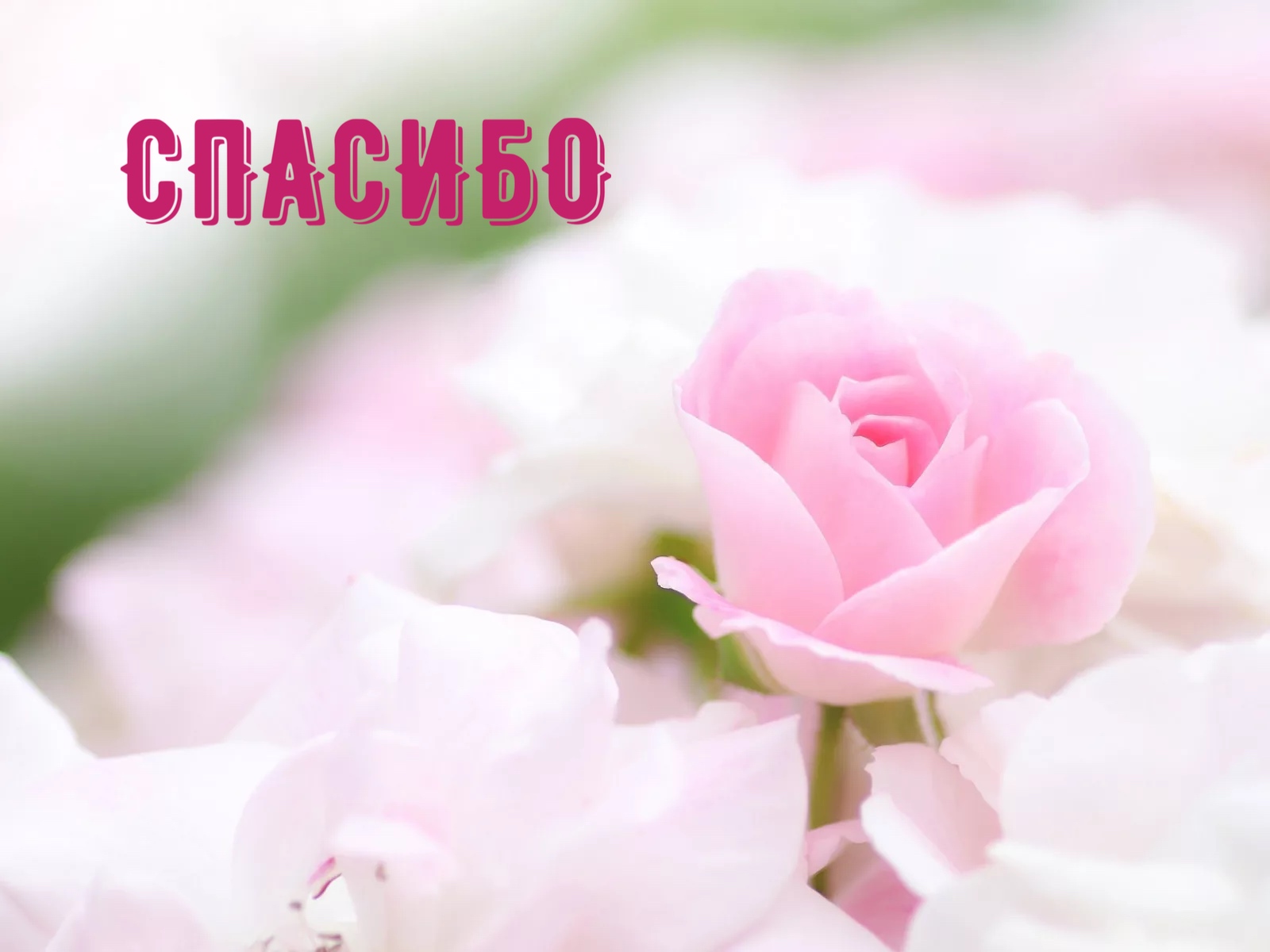 https://upforme.ru/uploads/0019/3c/8c/88/919007.jpg