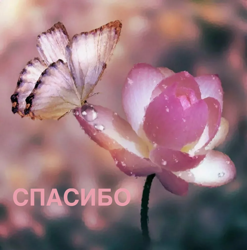 https://upforme.ru/uploads/0019/3c/8c/88/935617.png