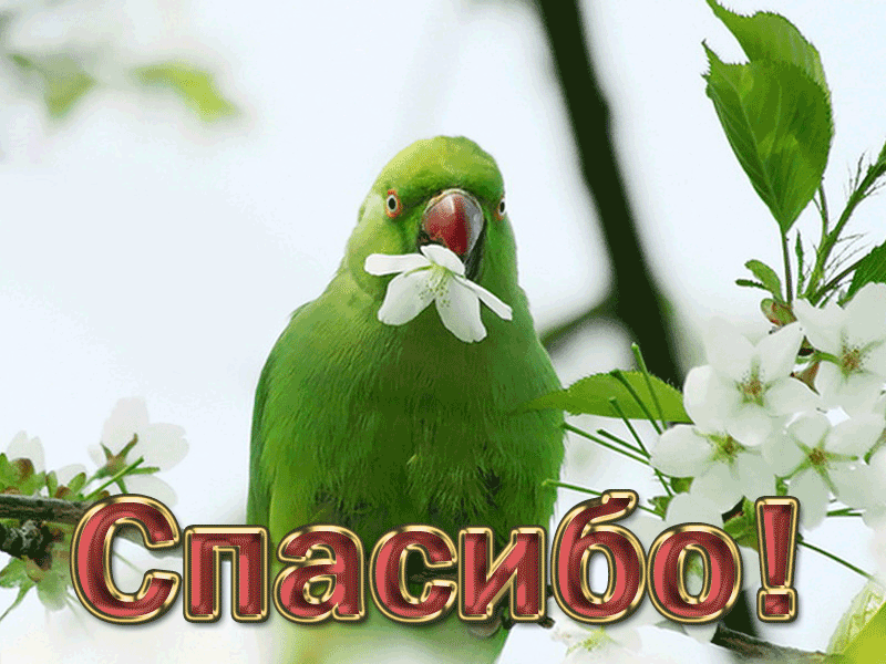 https://upforme.ru/uploads/0019/3c/8c/88/948253.gif