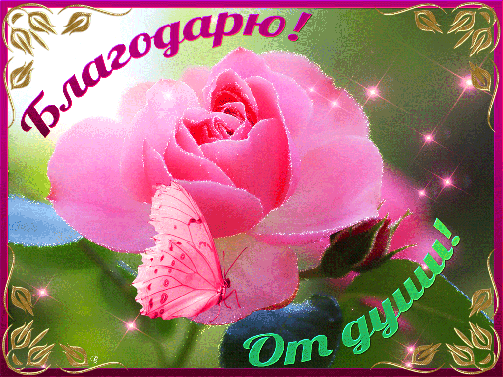 https://upforme.ru/uploads/0019/3c/8c/88/972283.gif