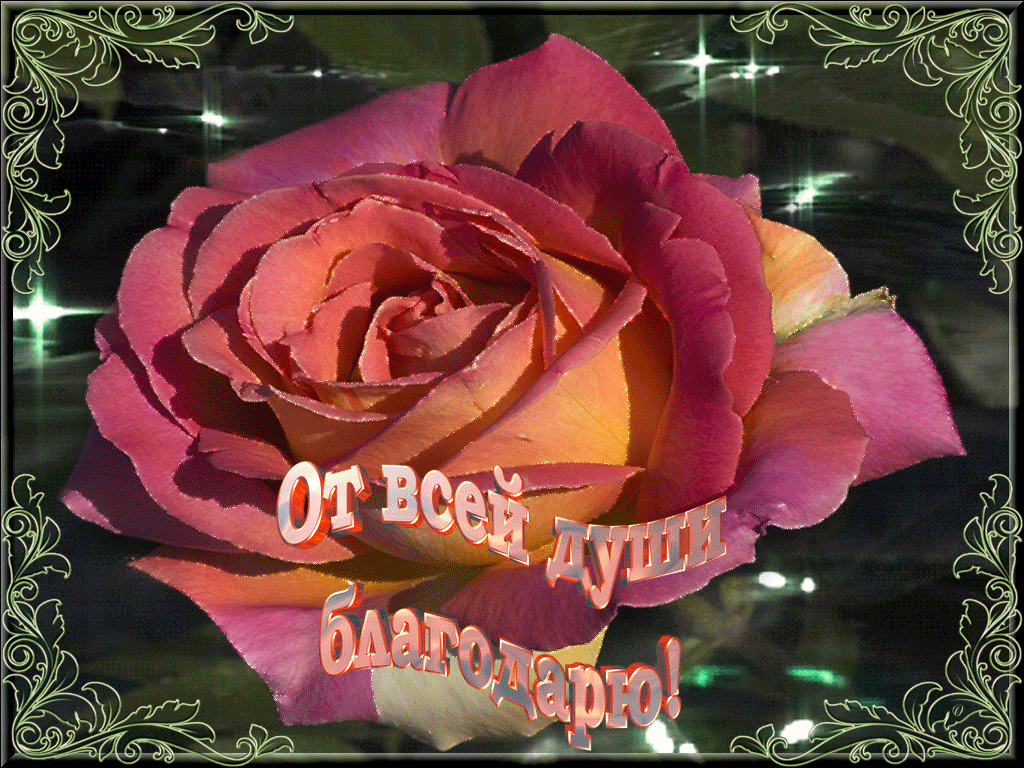 https://upforme.ru/uploads/0019/3c/8c/88/992015.gif