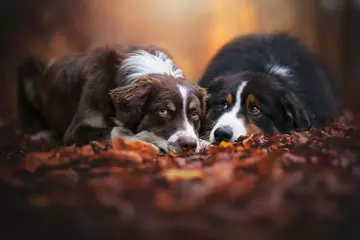 https://upforme.ru/uploads/0019/3c/8c/951/t144592.webp