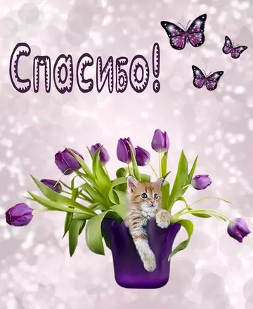 https://upforme.ru/uploads/0019/3c/8c/951/t846567.webp