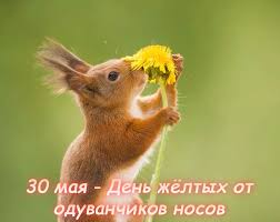 https://upforme.ru/uploads/0019/3c/8c/951/t891776.jpg