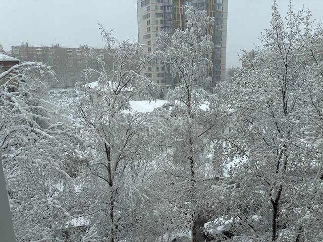 https://upforme.ru/uploads/0019/40/e6/14/79825.jpg