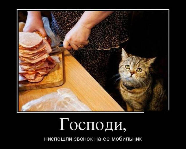 https://upforme.ru/uploads/0019/40/e6/72/816642.jpg
