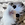 https://upforme.ru/uploads/0019/41/ed/856/838917.gif