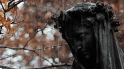 https://upforme.ru/uploads/0019/49/95/2/836780.gif