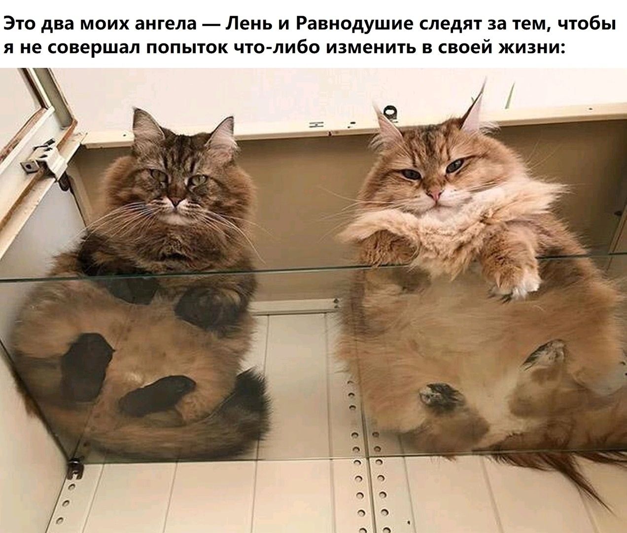 https://upforme.ru/uploads/0019/73/8e/140/43179.jpg