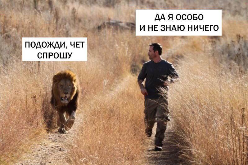 https://upforme.ru/uploads/0019/73/8e/140/690835.jpg