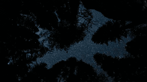 https://upforme.ru/uploads/0019/73/8e/140/859138.gif