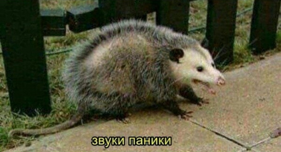 https://upforme.ru/uploads/0019/73/8e/140/933374.jpg