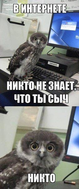 https://upforme.ru/uploads/0019/73/8e/244/721850.jpg