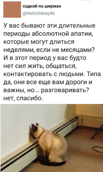https://upforme.ru/uploads/0019/73/8e/263/t319777.jpg