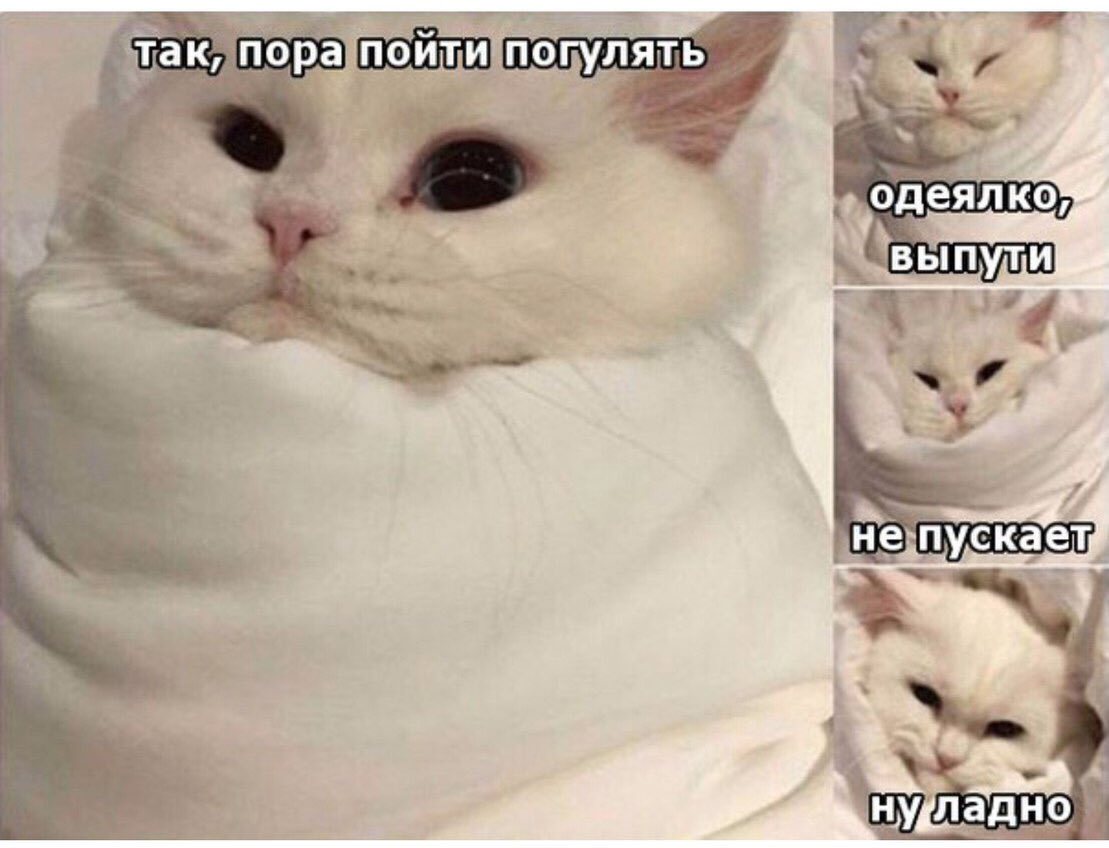 https://upforme.ru/uploads/0019/73/8e/313/80440.jpg