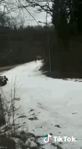 https://upforme.ru/uploads/0019/73/8e/324/66338.gif
