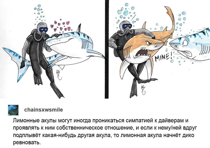 https://upforme.ru/uploads/0019/73/8e/324/78019.jpg
