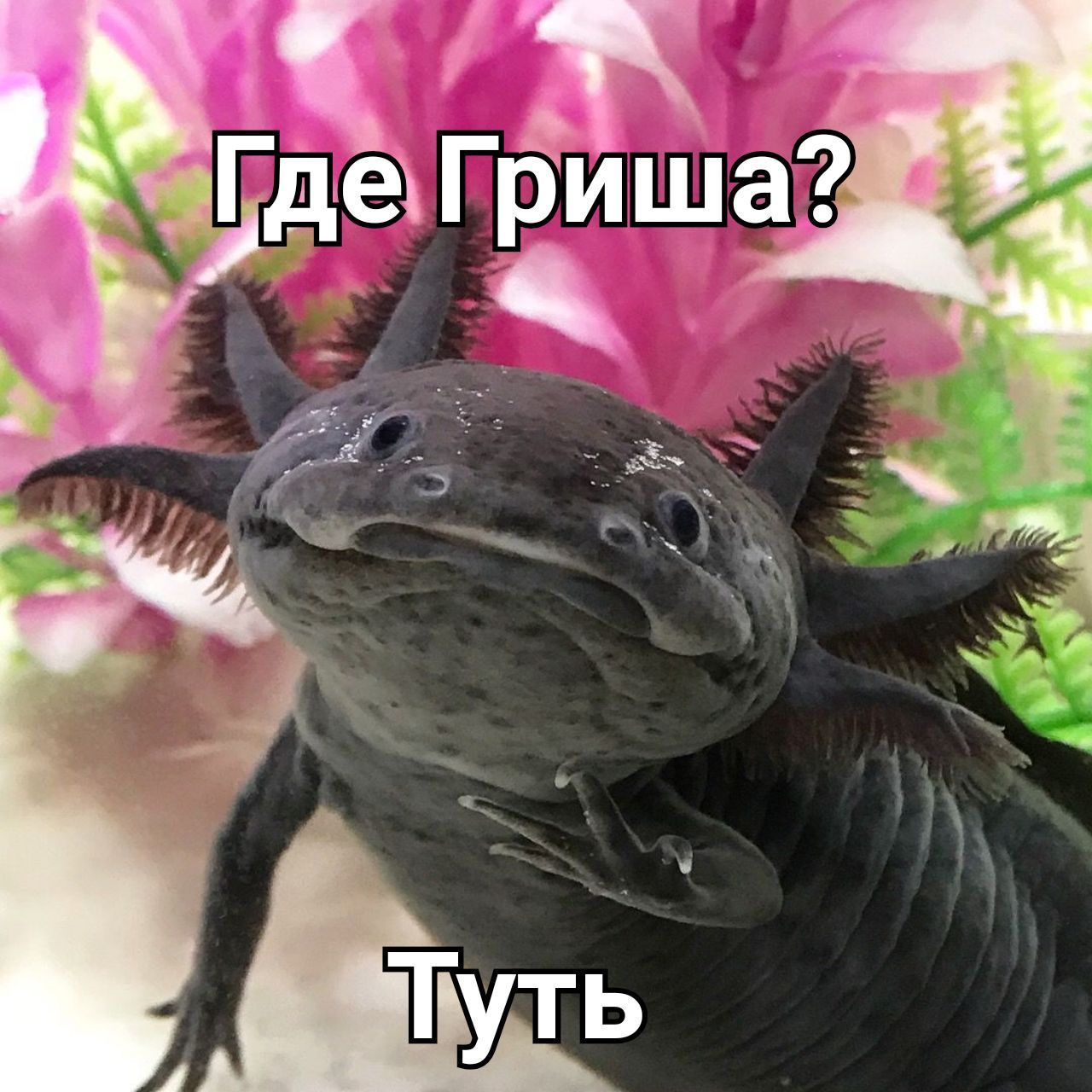 https://upforme.ru/uploads/0019/73/8e/324/88717.jpg
