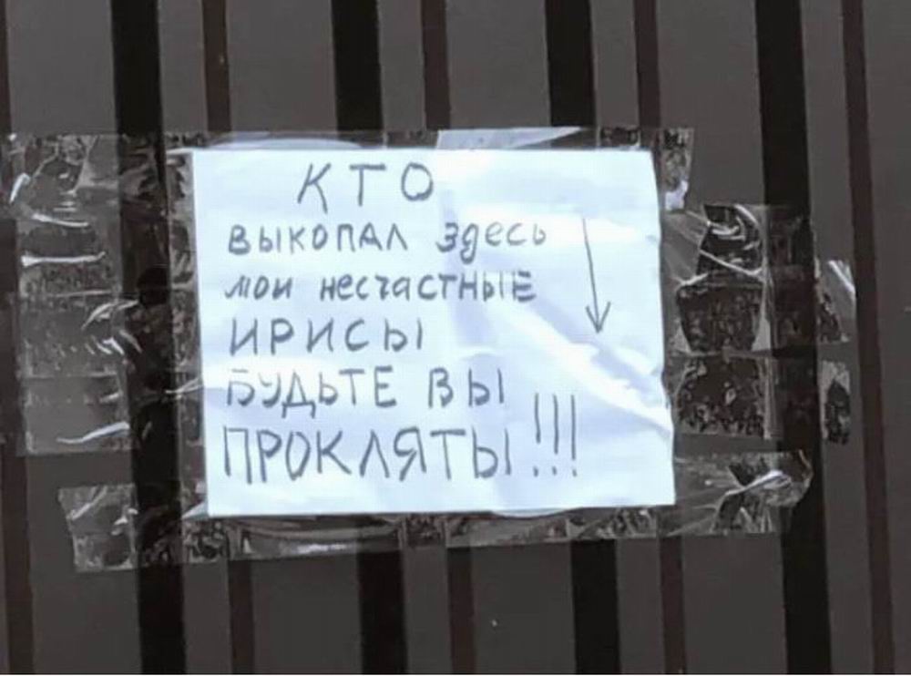 https://upforme.ru/uploads/0019/74/2a/126/648503.jpg