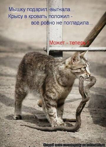 https://upforme.ru/uploads/0019/74/2a/5/t761867.jpg
