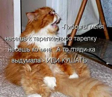 https://upforme.ru/uploads/0019/74/2a/5/t968279.jpg