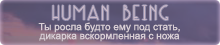 https://upforme.ru/uploads/0019/76/e9/3/11451.png