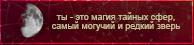 https://upforme.ru/uploads/0019/76/e9/3/16654.png
