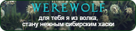 https://upforme.ru/uploads/0019/76/e9/3/259395.png